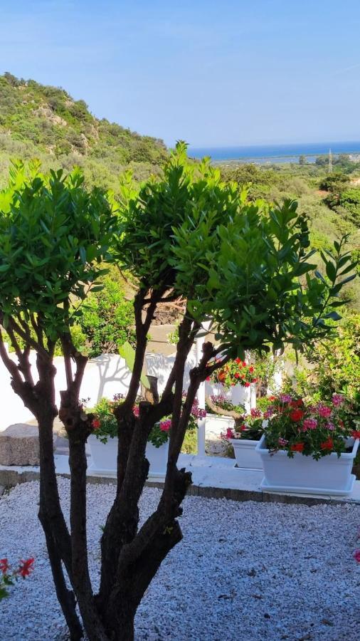 Casa L'Ulivariu Affittacamere San Teodoro  Exterior foto