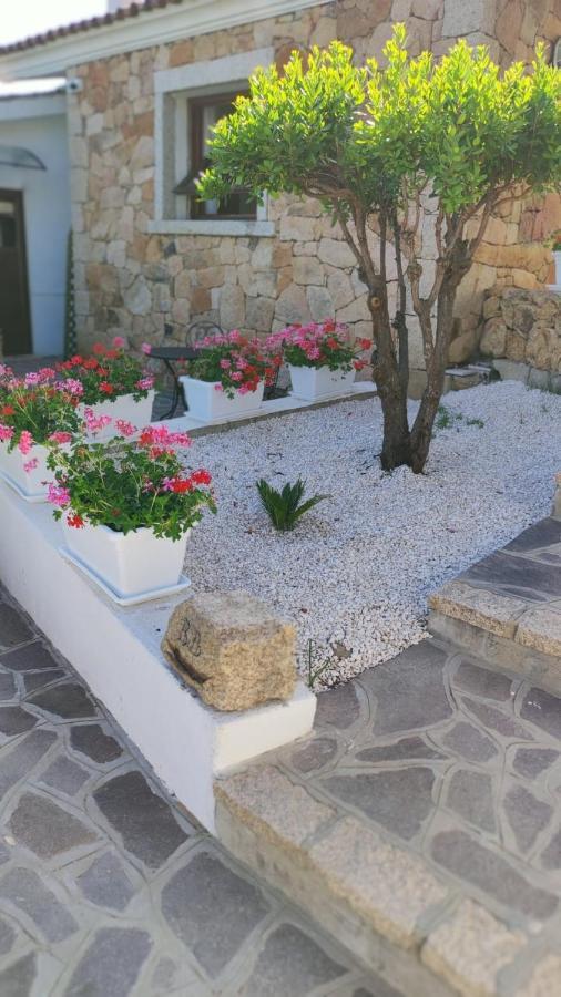 Casa L'Ulivariu Affittacamere San Teodoro  Exterior foto