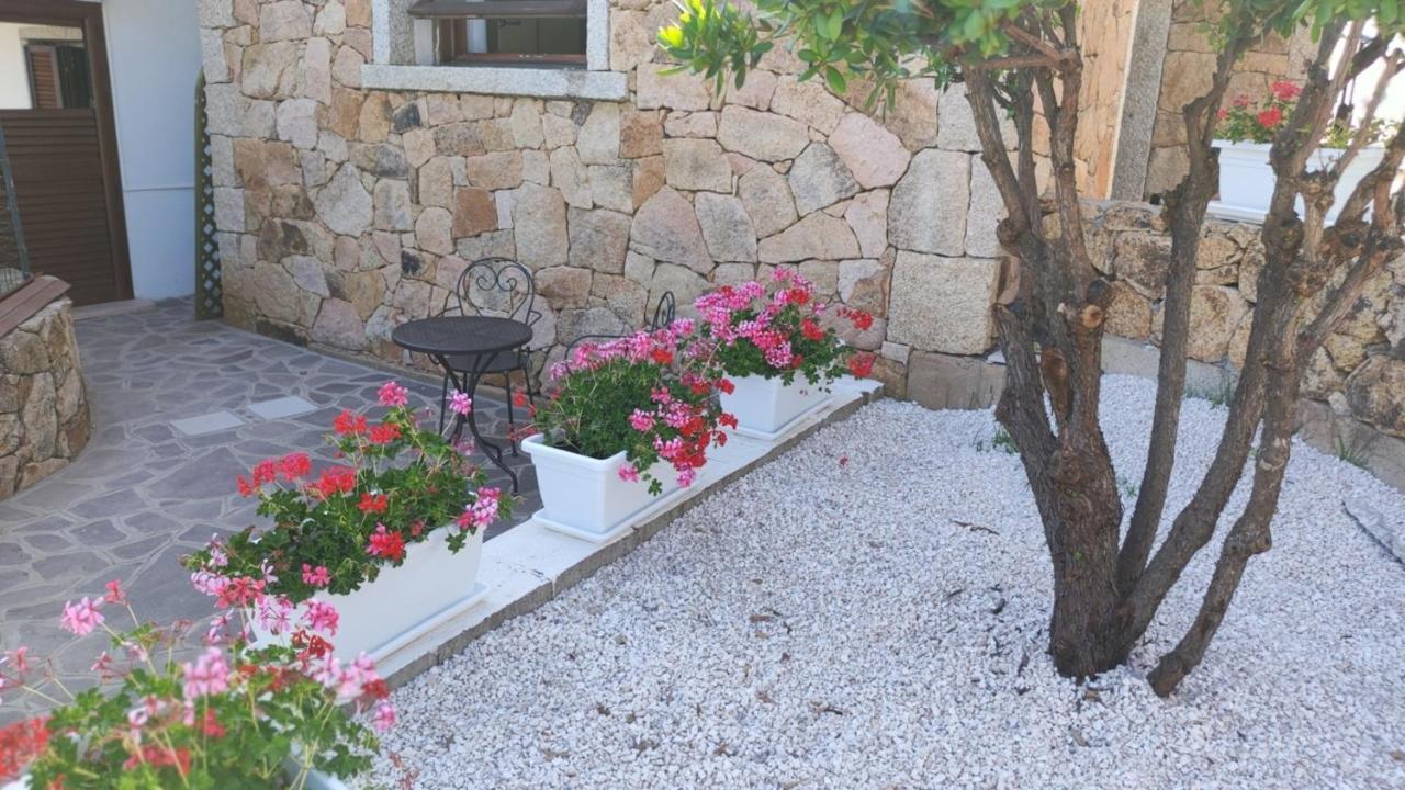 Casa L'Ulivariu Affittacamere San Teodoro  Exterior foto