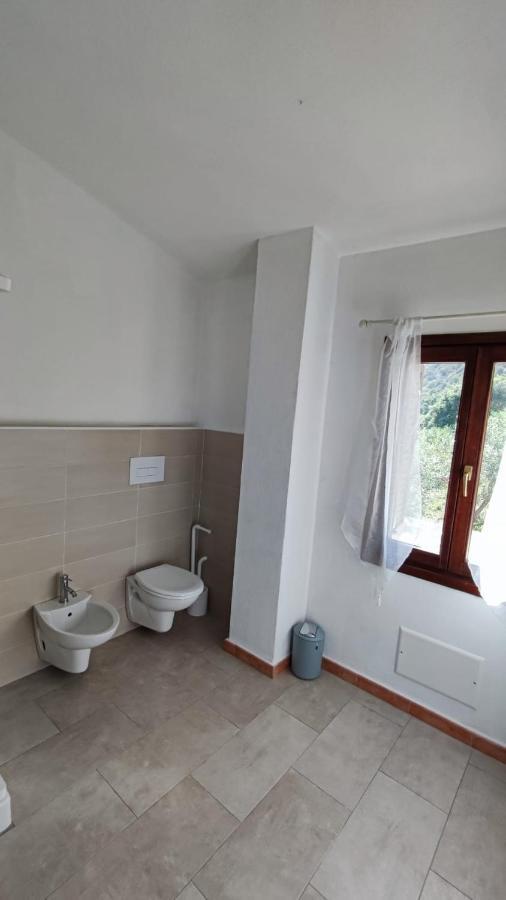 Casa L'Ulivariu Affittacamere San Teodoro  Exterior foto